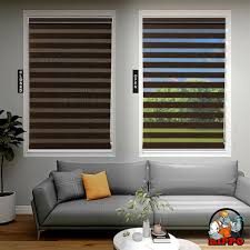 Zebra Blinds - Bold Accents